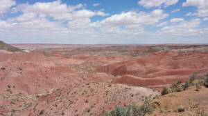 painted desert