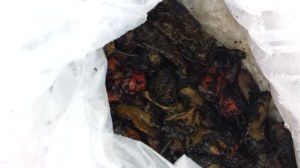 bag of roasted chilies