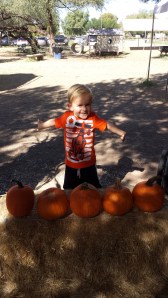 Which one shall I choose?