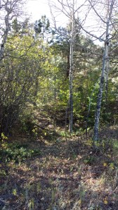 Mountain behind the cabin on which Bec and I hiked.
