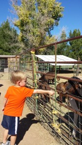 "You've got to be kidding me with the hay, kid. Where's the carrots, you cheapskate?"