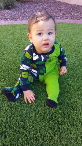 Cole isn't sure what to think about Nana and Papa's artificial grass.