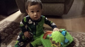 Cole likes to play with toys.