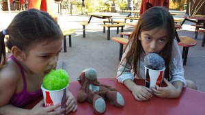 Mylee and Kaiya enjoy their sno cones during our visit to the Phoenix Zoo.