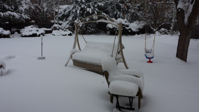 backyard snow