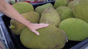 Jackfruit. Never heard of it. They are huge, as you can see from Bec's normal-sized hand.