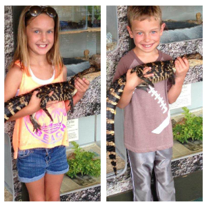 What's a kid supposed to do when they're in Florida besides hold an alligator? My great niece and nephew Mackenzie and Carter display the reptiles.