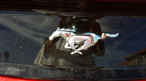 mustang ornament
