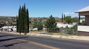 The cypress trees are on the left, and you can see several in the distance.