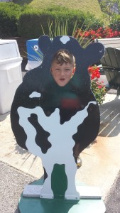 Joseph pretends he's a Cabot cow.