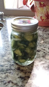 leonas refrigerator pickles
