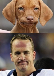 12039703_997863123593709_7157824137071994682_n (2)