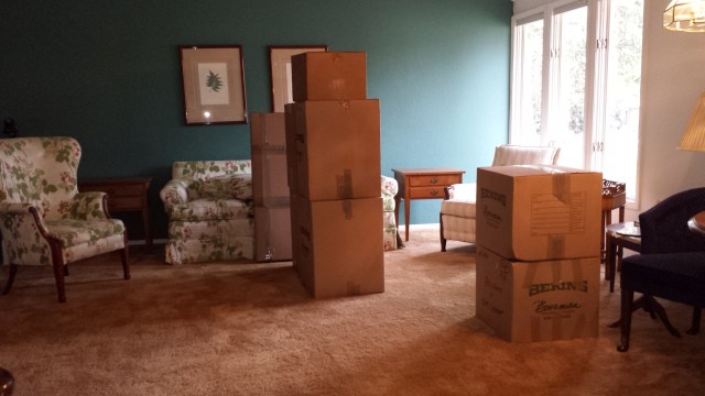 living room with boxes