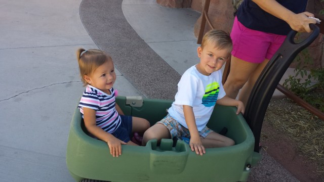Lilly and Austin can't take their eyes off one of the animals.