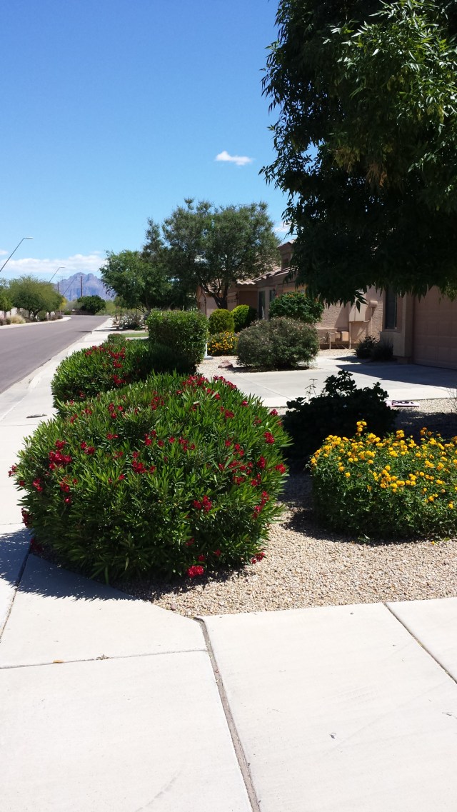 walking from mailbox