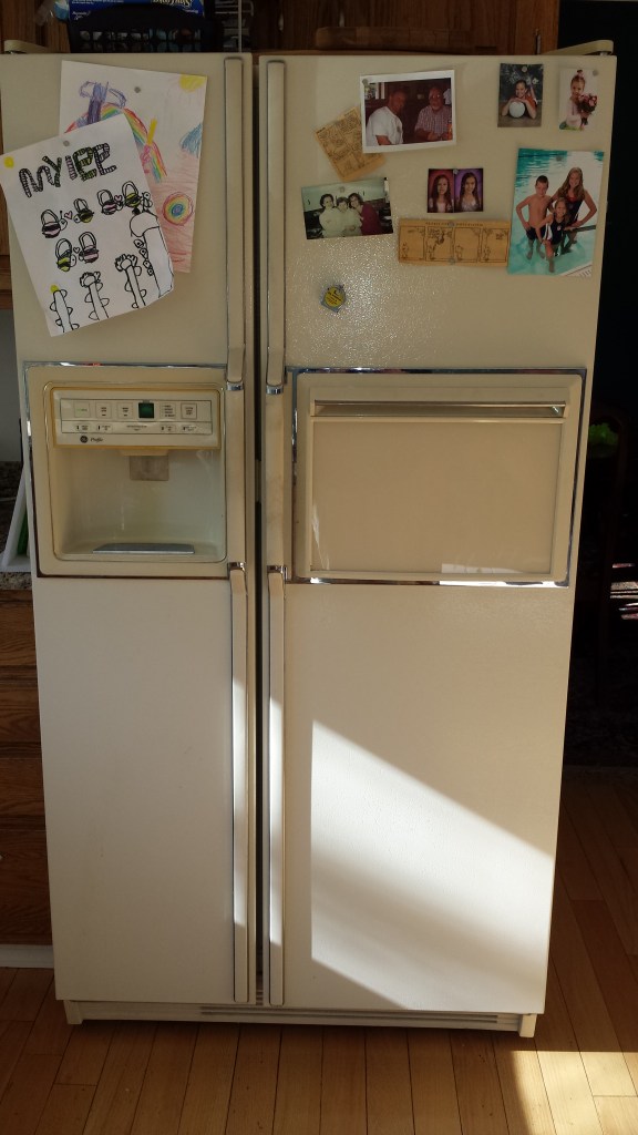 Old Fridge