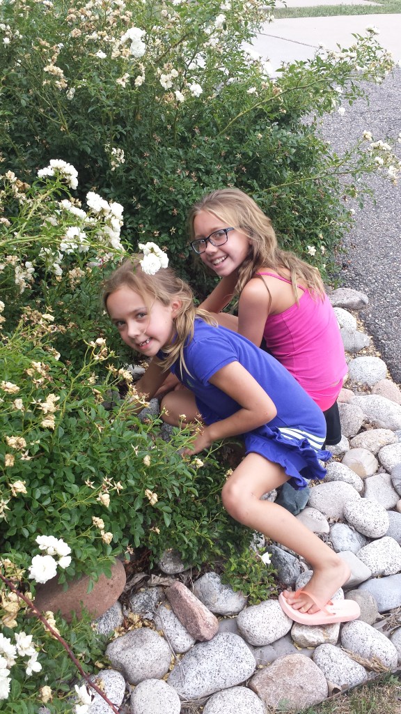 Maggie Dagny geocache 2016