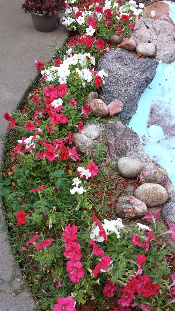 petunias red white