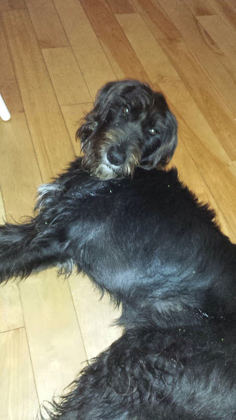 01143df9cac8257849a7b79fece1bf6bd807f5b170